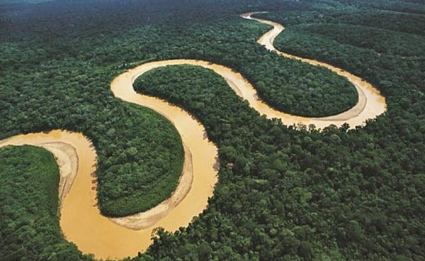 Image of a meander in the Amazon river (Source: Lifeder).