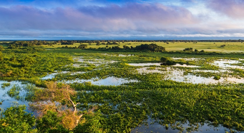 What is surface water?