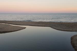What is a river mouth?