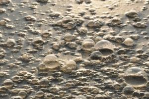 What are the main threats to good water status?