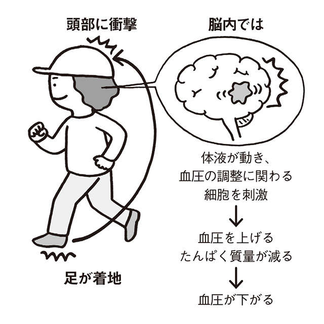 適度な運動で「高血圧が改善」する理由を解説【国立障害者リハビリテーションセンター澤田先生が解説】 2309_P082_02.jpg