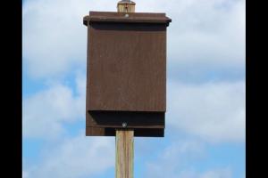 Bat Houses