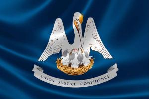 Discover the Official State Bird of Louisiana