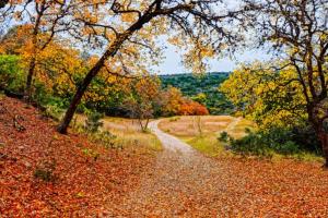 Discover When Leaves Change Color in Texas (and 7 Beautiful Places to See Them)