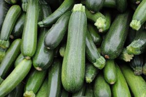 5 Clear Signals Your Zucchini Is Ready to Be Harvested (Plus Tips on Storing Them)