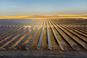 Discover the Top 4 Largest Solar Farms in Canada: Are Any Near You?