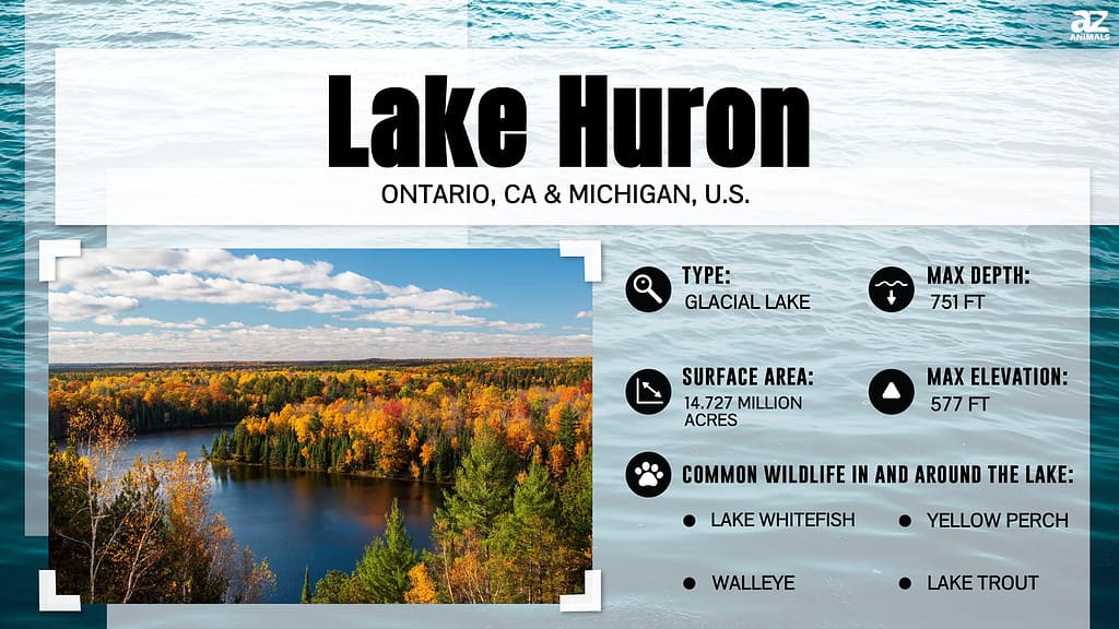 Why Are There No Major Cities on Lake Huron?