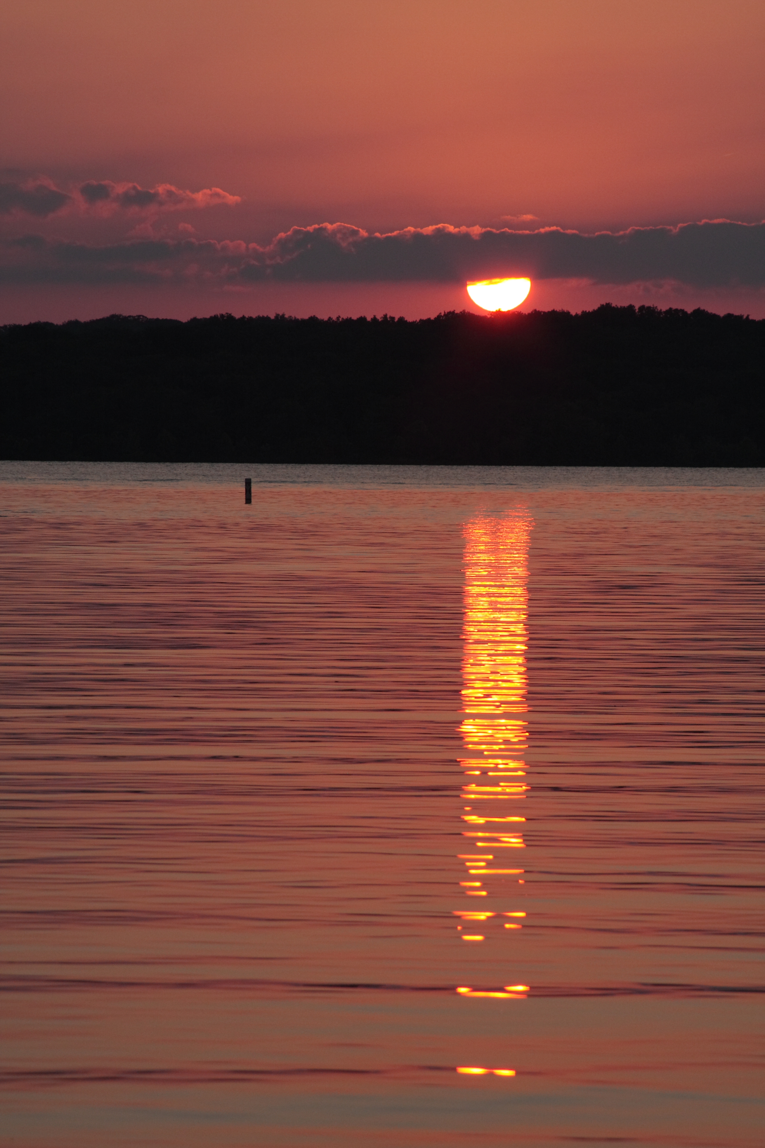 Discover How Polluted Lake Of The Ozarks Really Is