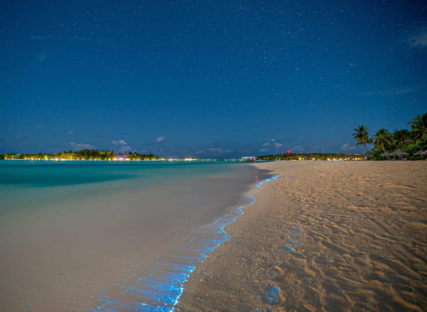 What Is the Sea of Stars in the Maldives and Is It Safe to Swim In?