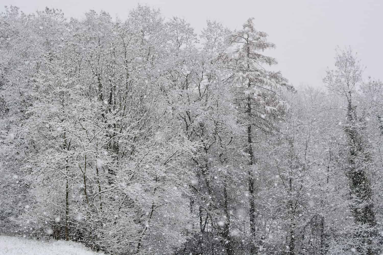 The Biggest Snowstorm to Ever Hit New York State in the Month of October