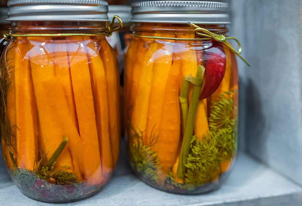 6 Clear Signals Your Carrots Are Ready to Be Harvested (Plus Tips on Storing Them) 