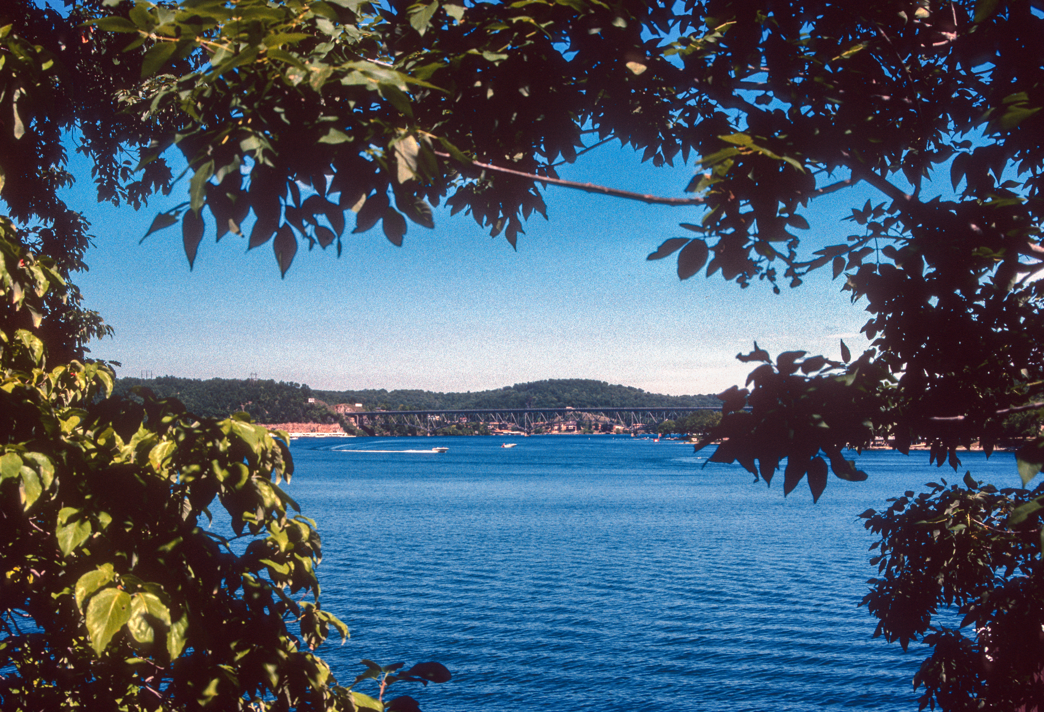 Discover How Polluted Lake Of The Ozarks Really Is