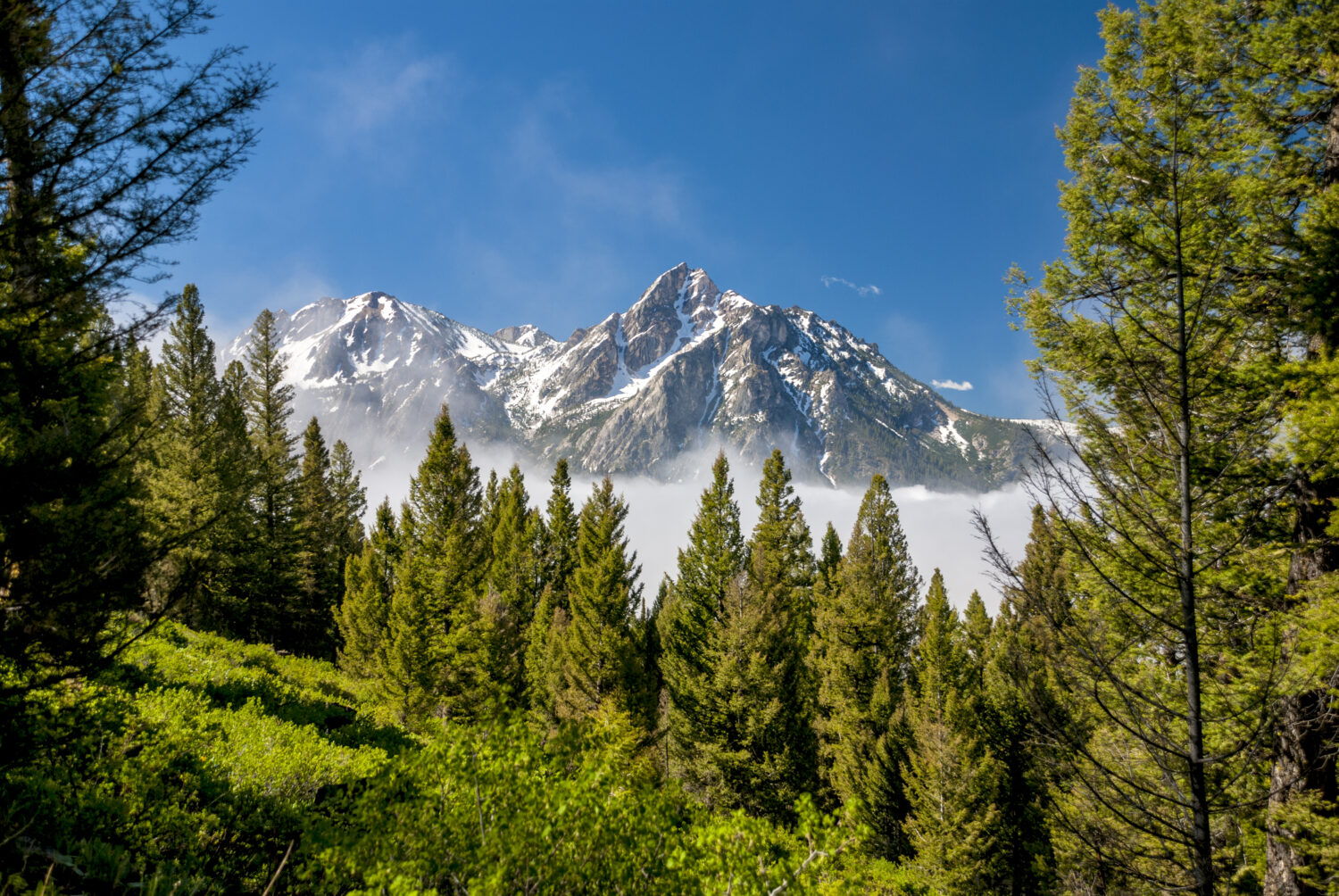 Continental Divide Trail in Idaho: 6 Facts You Didn't Know