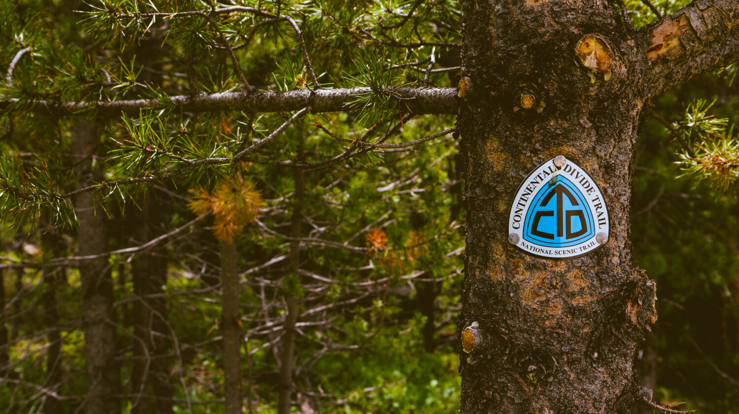 Continental Divide Trail in Idaho: 6 Facts You Didn't Know