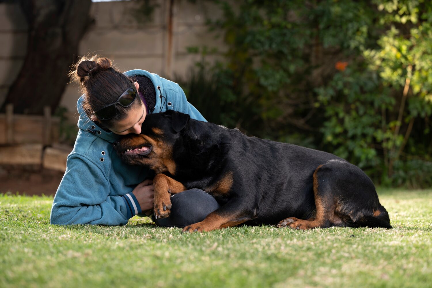 12 Reasons Rottweilers Are the Best Guard Dogs