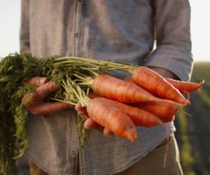 6 Clear Signals Your Carrots Are Ready to Be Harvested (Plus Tips on Storing Them)