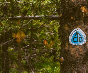 Continental Divide Trail in Idaho: 6 Facts You Didn't Know