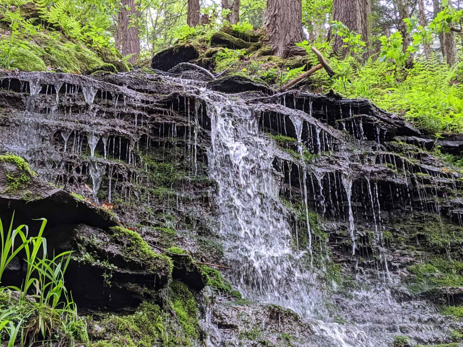 The Most Scenic Hiking Trails in all of Upstate New York