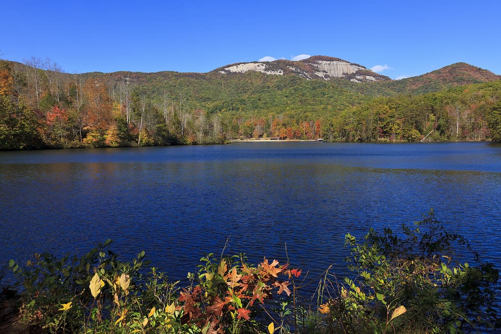 Remote lakes in south carolina to fish and swim