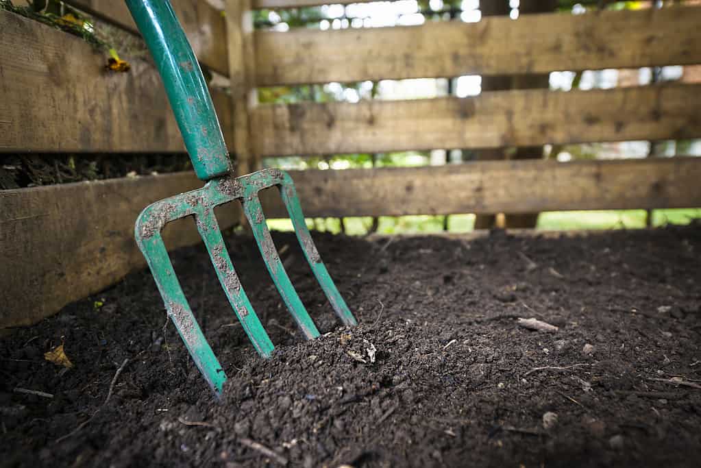 How To Start Composting: The Ultimate Guide