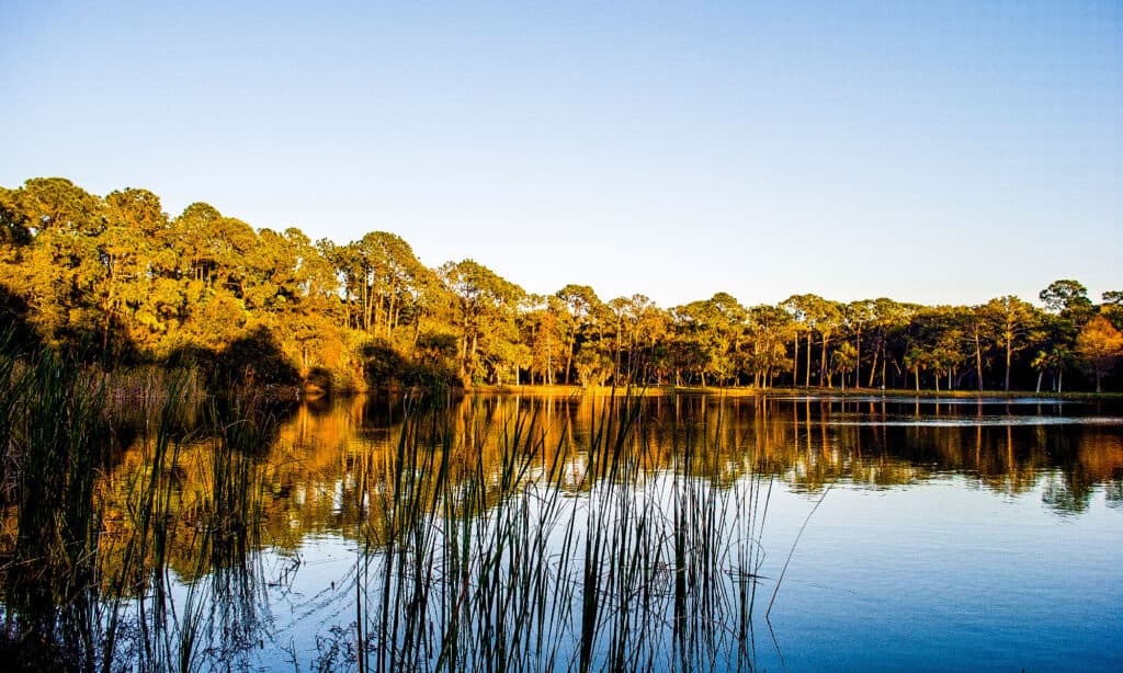 The 8 Deepest Lakes in Florida