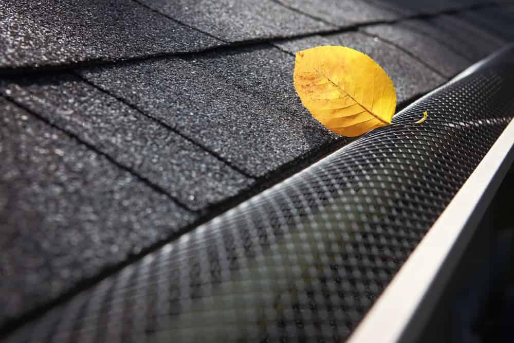 5 Safety Tips to Clean Your Gutters and Avoid Disaster