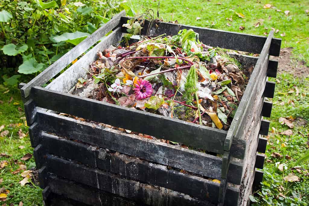 How To Start Composting: The Ultimate Guide