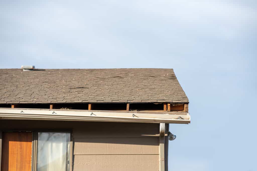 5 Safety Tips to Clean Your Gutters and Avoid Disaster