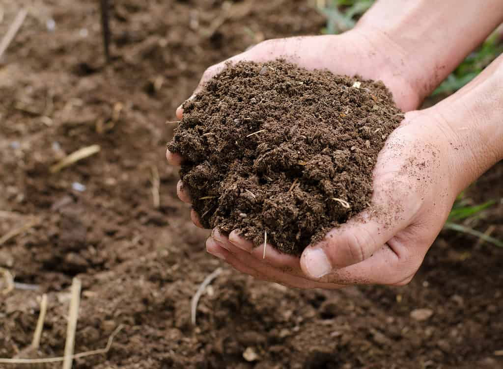 How To Start Composting: The Ultimate Guide