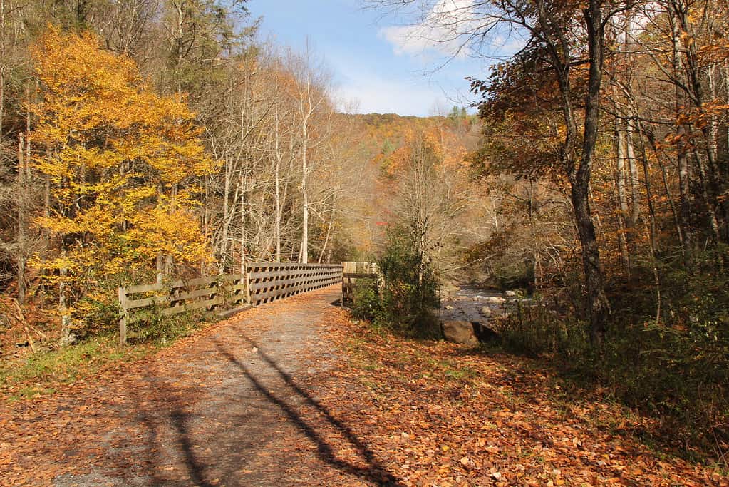 Discover How Long the Virginia Creeper Trail Really Is