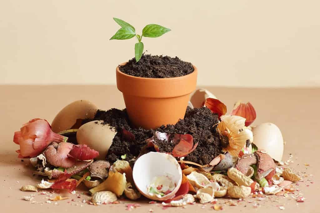 How To Start Composting: The Ultimate Guide