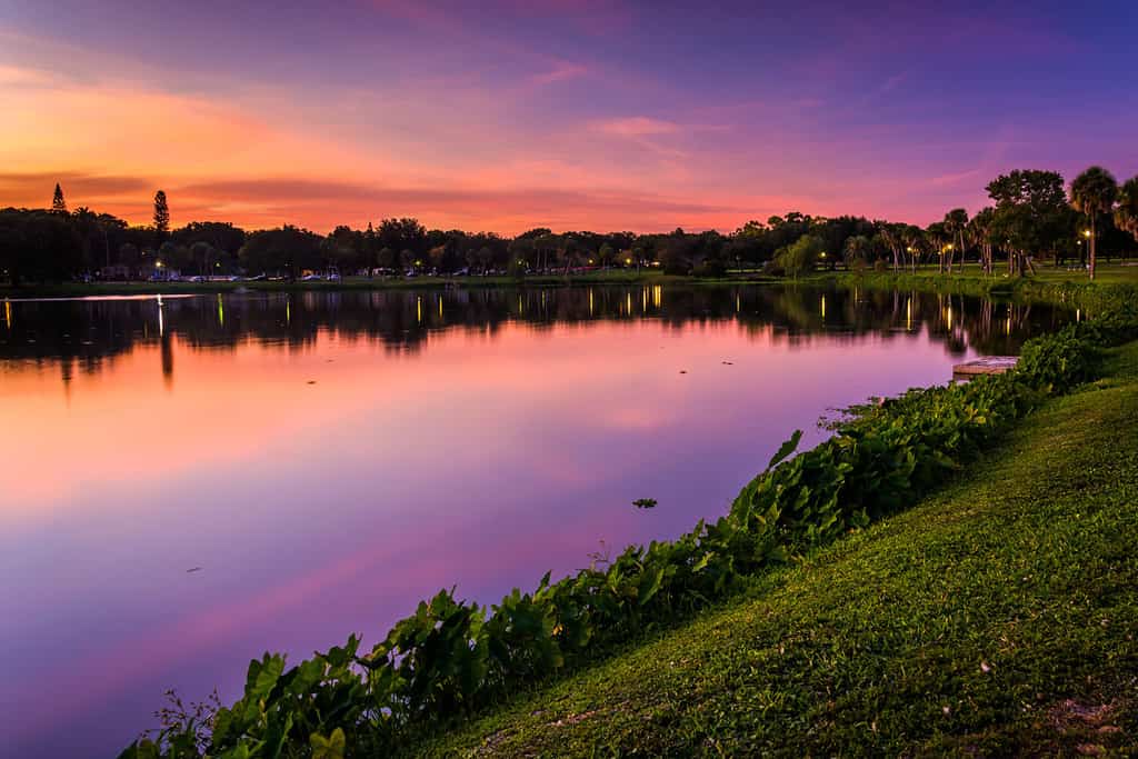 The 8 Deepest Lakes in Florida