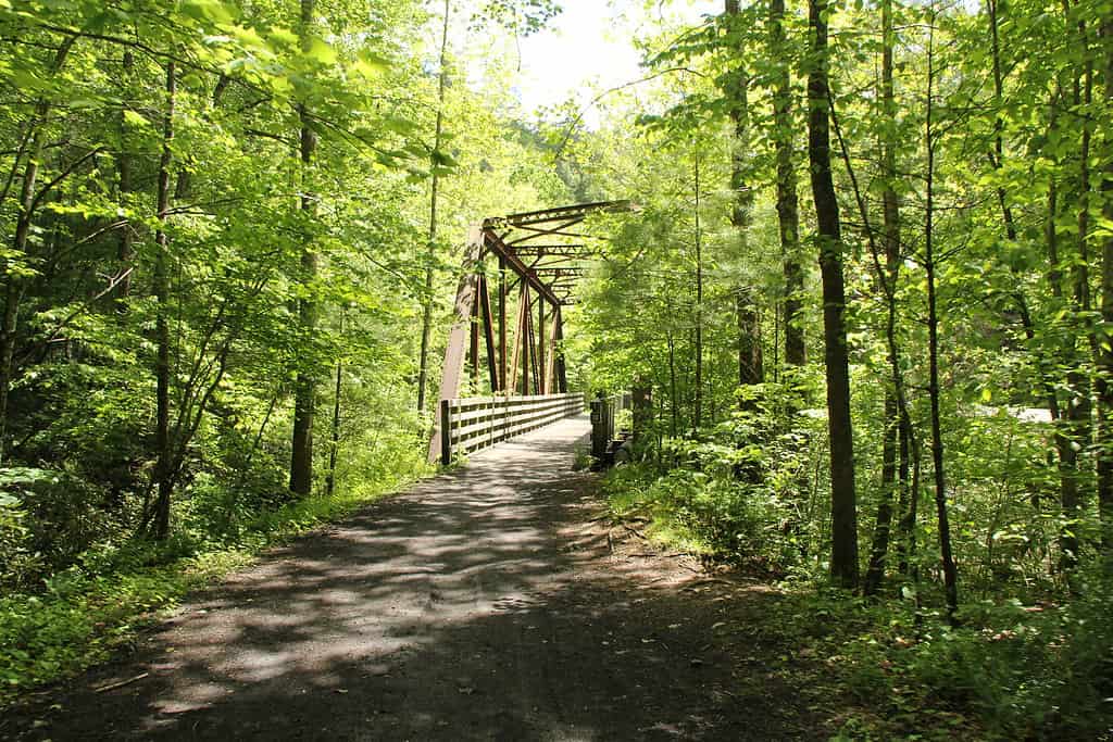 Discover How Long the Virginia Creeper Trail Really Is