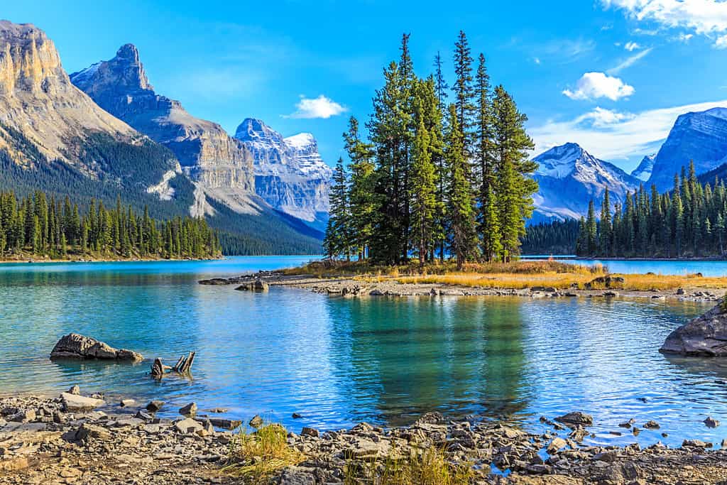 11 Views That Make Icefields Parkway The Most Beautiful Drive in Alberta