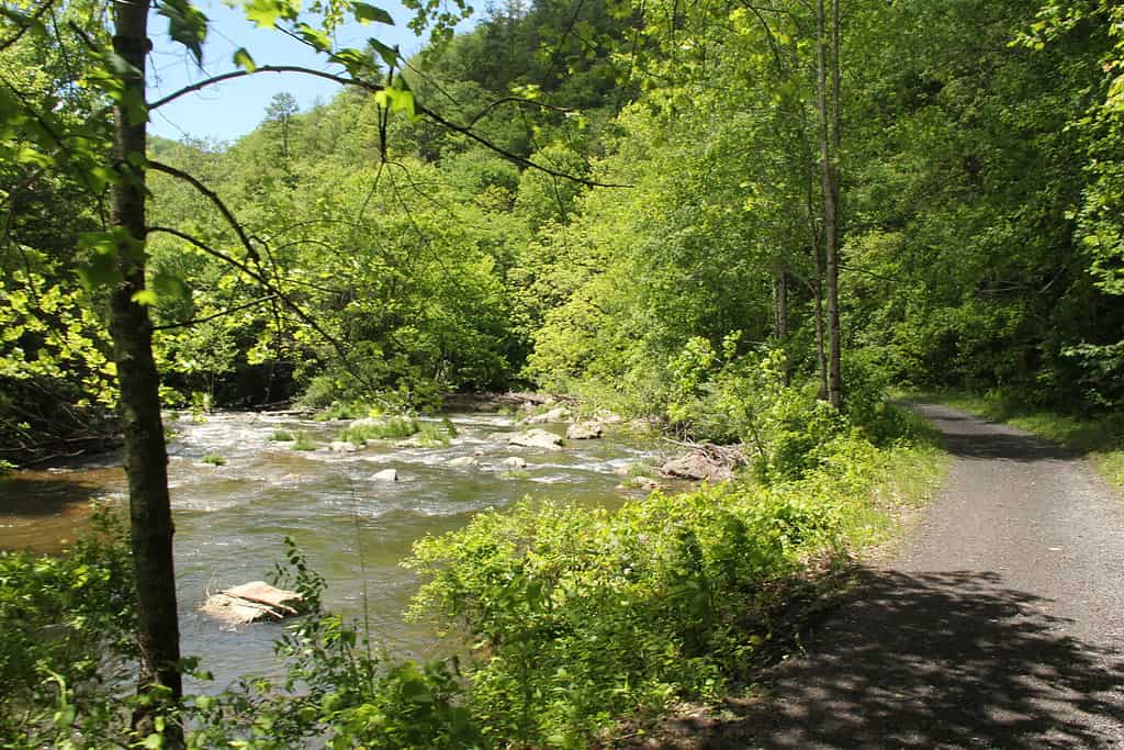 Discover How Long the Virginia Creeper Trail Really Is