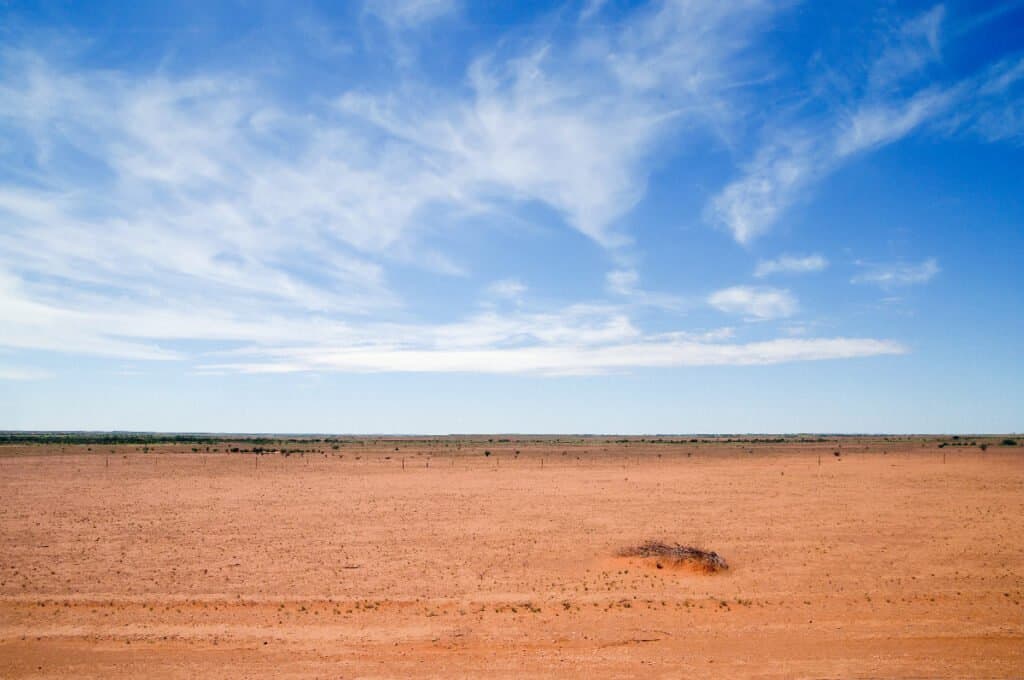 12 Amazing Animals You'll Find Near Australia's Legendary Ayers Rock (Uluru)