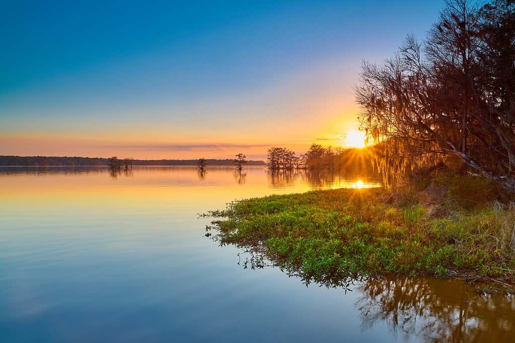 The 8 Deepest Lakes in Florida