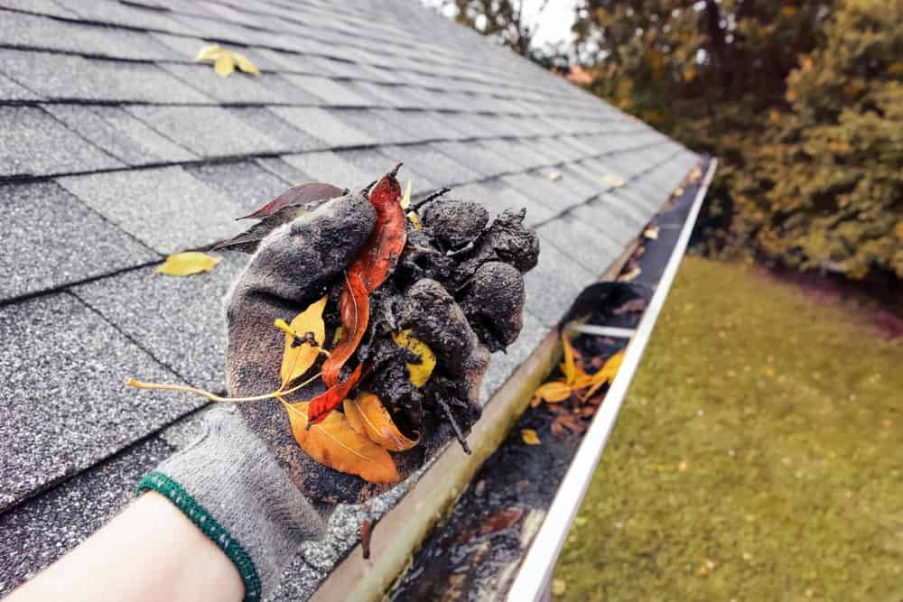 5 Safety Tips to Clean Your Gutters and Avoid Disaster