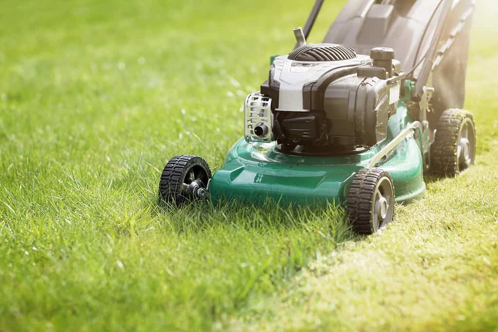 Is It Against The Law To Mow Your Lawn Early In the Morning?