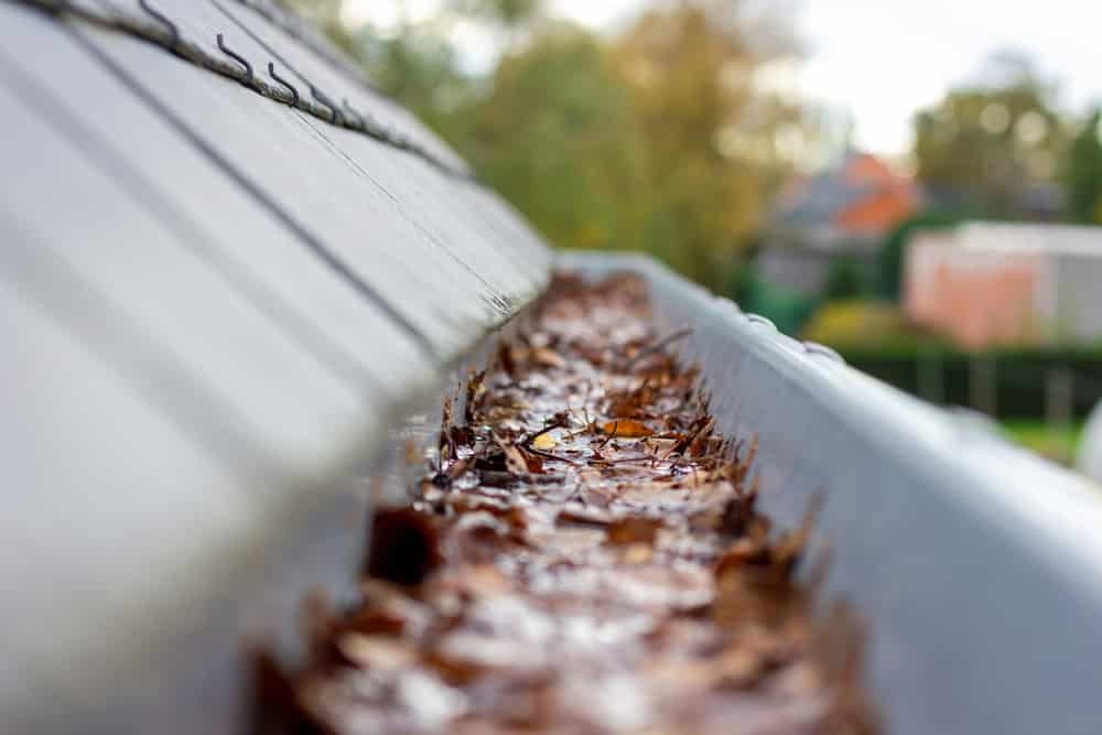 5 Safety Tips to Clean Your Gutters and Avoid Disaster