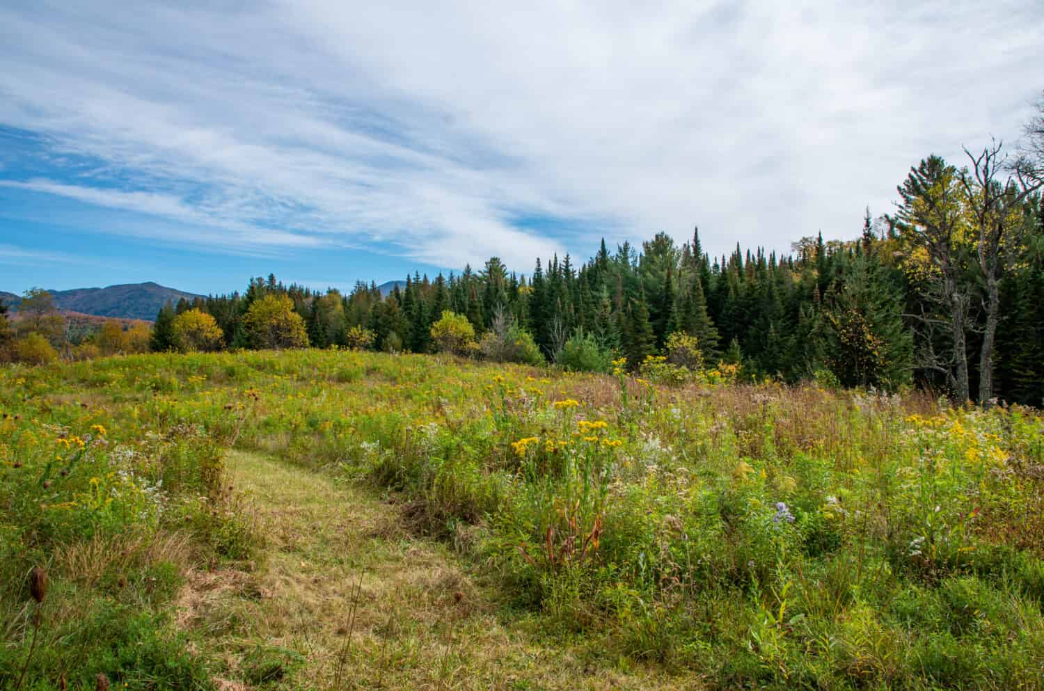 The Most Scenic Hiking Trails in all of Upstate New York