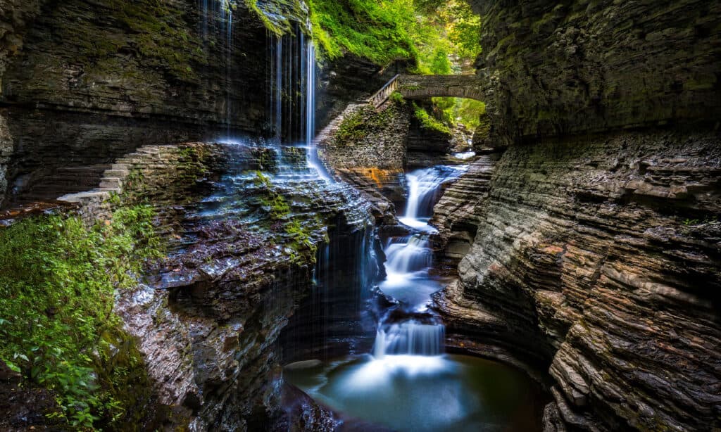 Watkins Glen State Park: Best Time to Visit, Waterfalls, and Trails