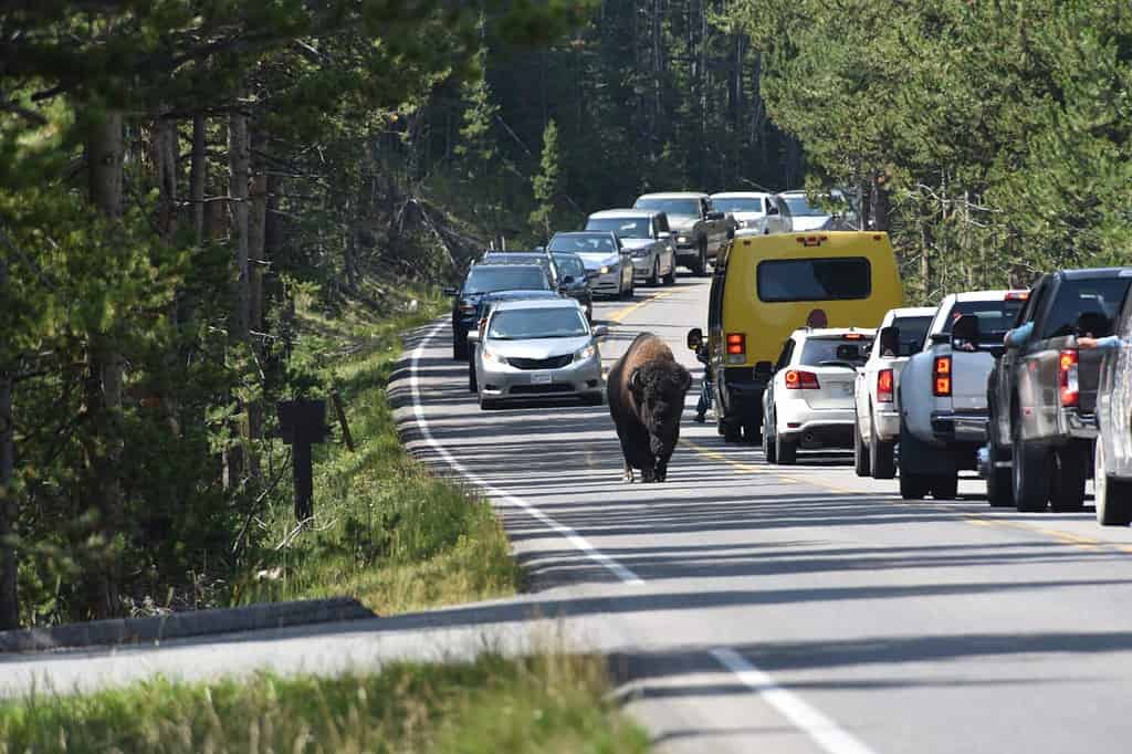 Best Places to Stay Outside of Yellowstone National Park