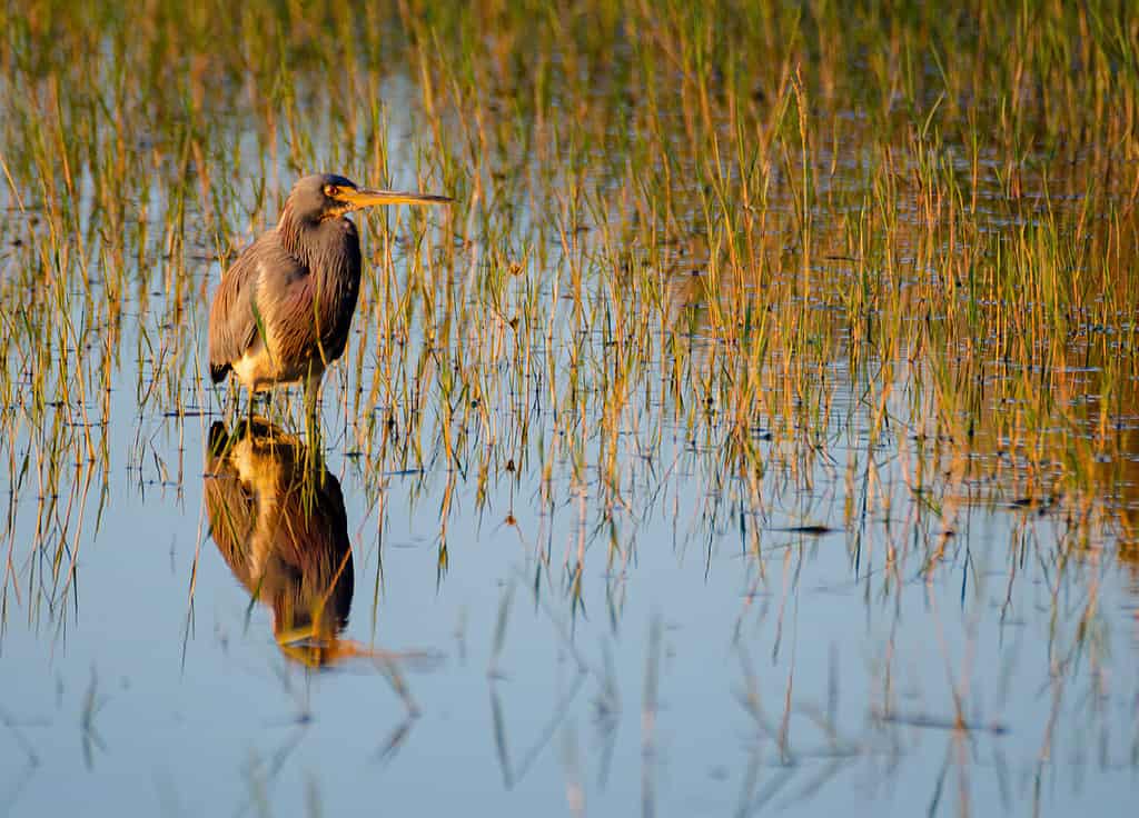 The 8 Deepest Lakes in Florida