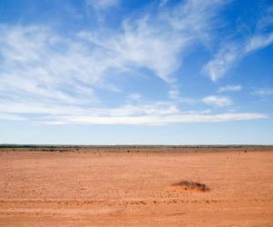 12 Amazing Animals You'll Find Near Australia's Legendary Ayers Rock (Uluru)