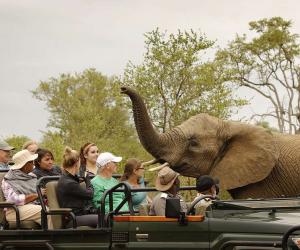 10 Amazing Vacation Animal Encounter Locations That Get You Up Close with Exotic Animals