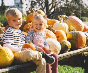 Explore the 5 Best Pumpkin Patches in Alabama For a Great Fall Adventure