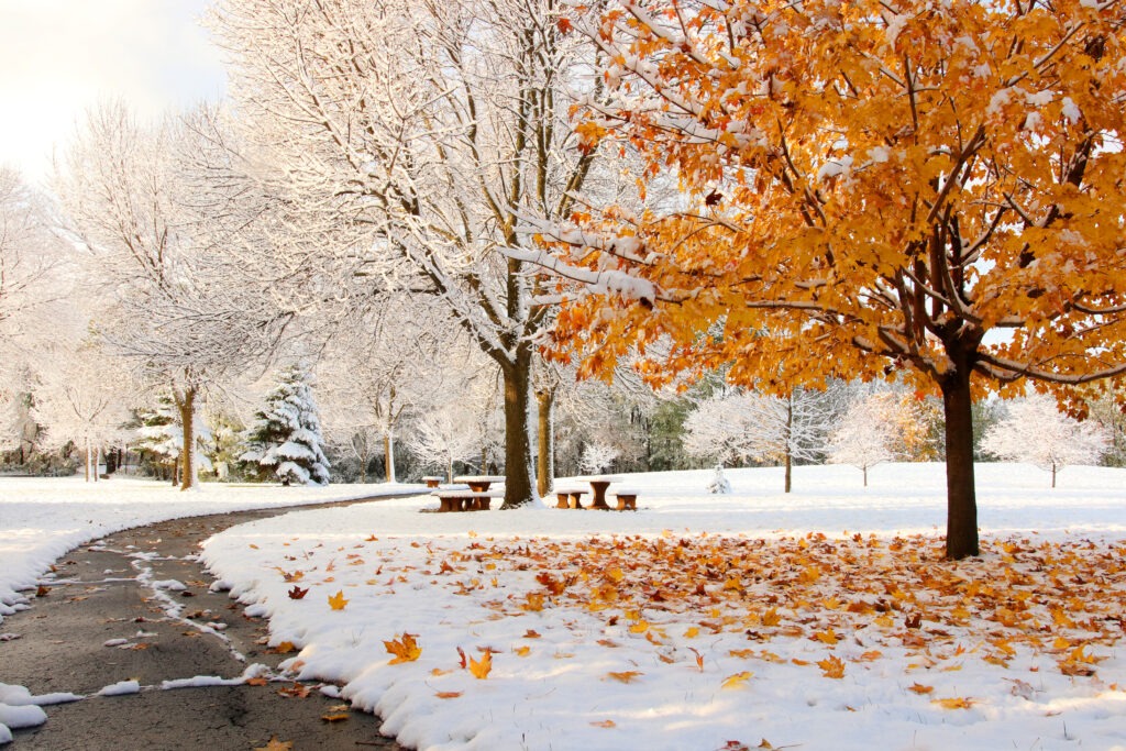 The Biggest October Snowstorm in Indiana History Will Blow Your Mind