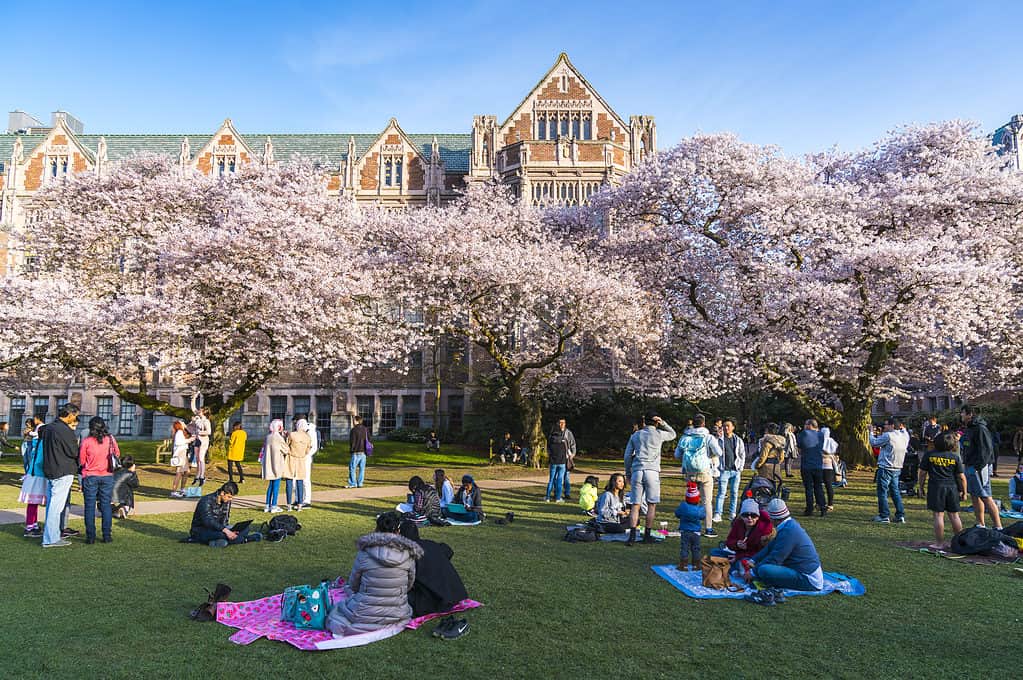 Discover the 5 Largest College Campuses in Washington