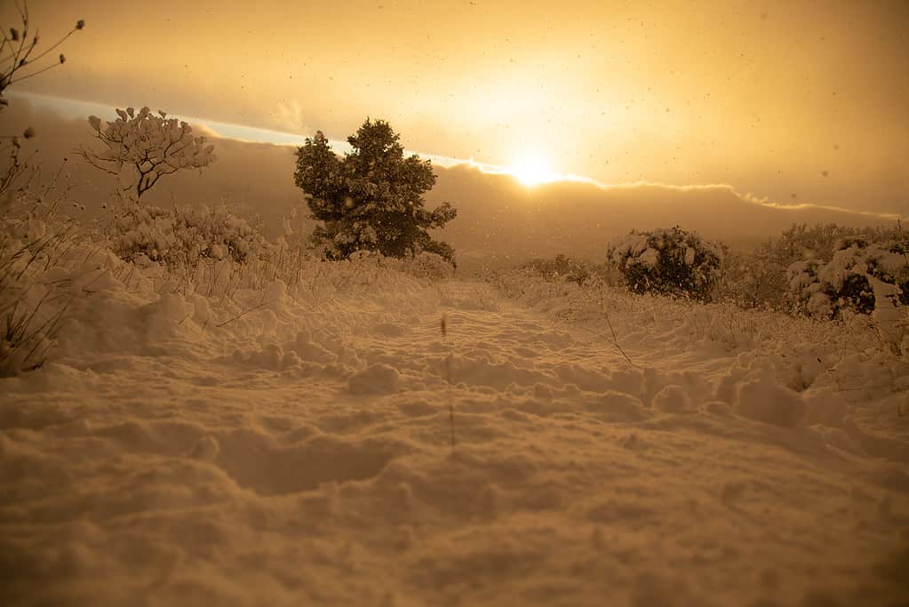 The Biggest October Snowstorm in Indiana History Will Blow Your Mind